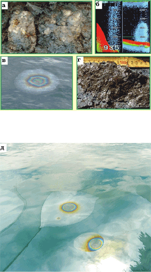 Рис. 1. Нефтегазопроявления в оз. Байкал (ст. &laquo;Горевой Утёс&raquo;): а) газогидраты и нефть в  современных осадках; б) газовый факел со дна озера, зарегистрированный эхолотом на  глубине 935 м; в) единичное пятно всплывшей нефти размером 1-2 м на поверхности озе-  ра; г) нефть в современных осадках. Источник: ocea.ru