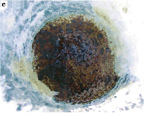 Рис. 1. е) Нефть в лунке, пробуренной во льду у м. Нижнее Изголовье (п-ов Святой Нос)  перед входом в Баргузинский залив (фото В.П. Исаева, Иркутский ГУ)