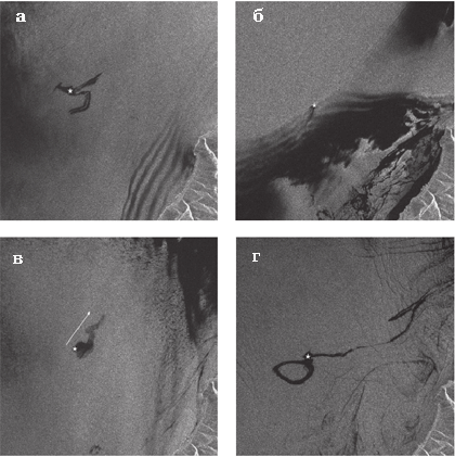 Рис. 3. Фрагменты радиолокационных изображений (20 х 20 км) спутников ERS-2 от  28.05.1998 (а) и 2.07.1998 (б) и Envisat от 30.06.2005 (в) и 4.08.2005 (г), на которых ото-  бразились нефтяные пятна, образующие нефтепроявления у м. Горевой Утёс. Звёздочками показаны места всплытия нефти на поверхность, стрелкой &mdash; направление дрейфа,&copy; ESA 