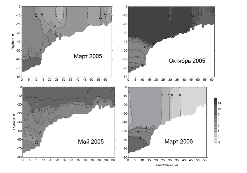 Рис. 1. Разрез температуры по нормали к берегу в марте 2005 и 2006 г., в октябре и мае 2005 г