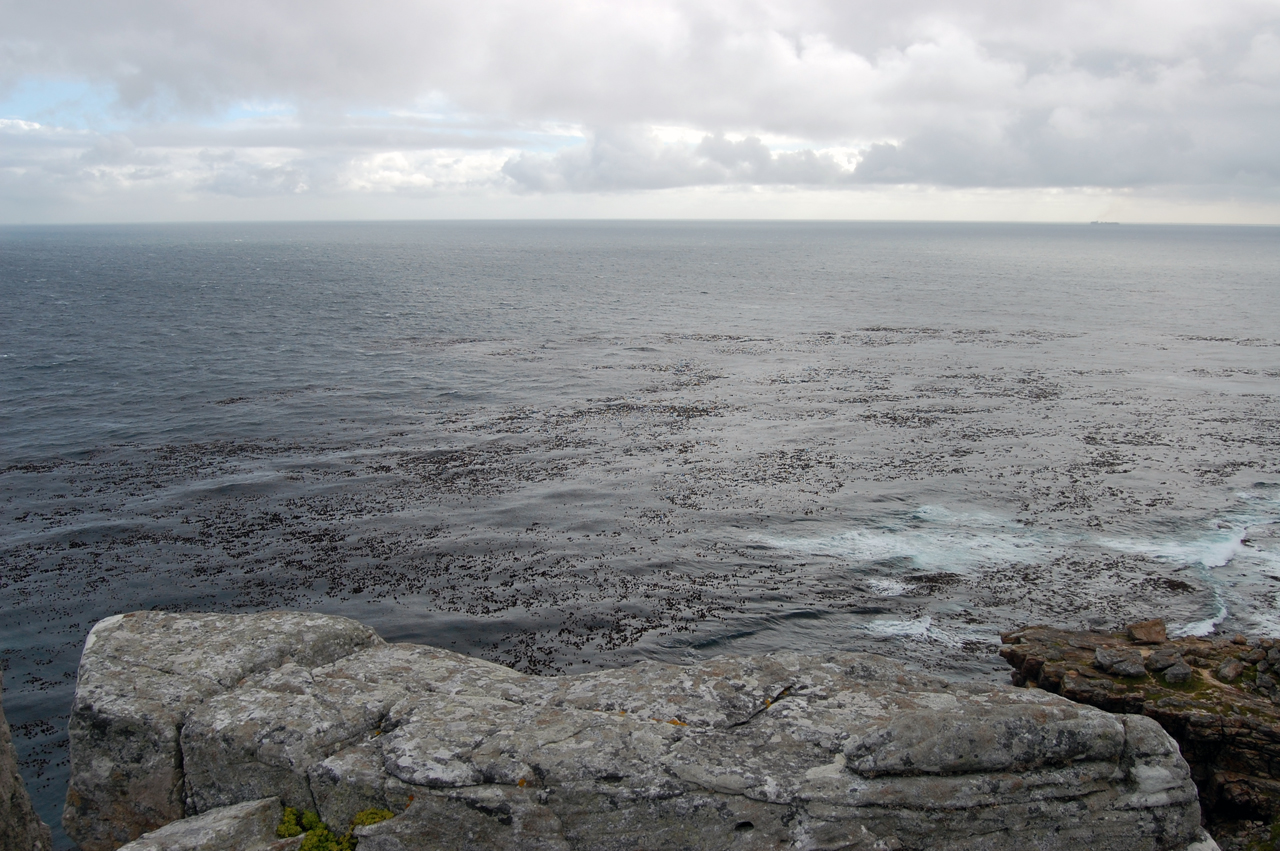 Фото oceanolog.ru