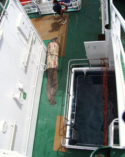 Экспедиция весны 2002 года на НИС "Академик Иоффе" 39