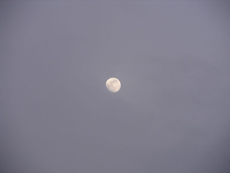 Экспедиция осени 2005 года на НИС \"Академик Иоффе\" 98