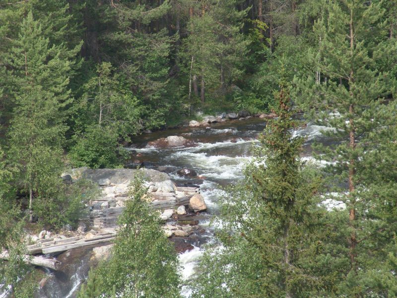 Поездка ко мне в деревню летом 2005 года 16