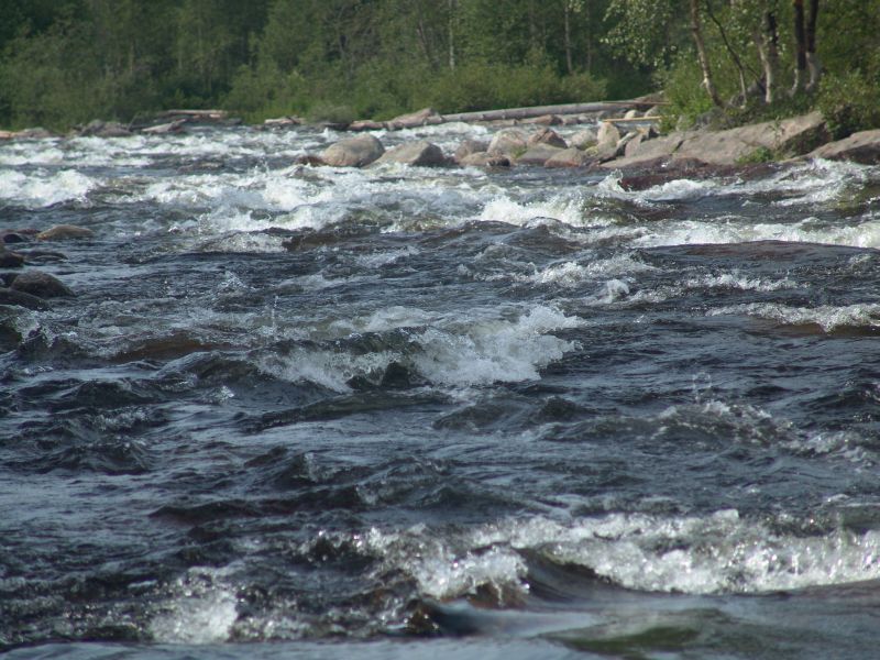 Поездка ко мне в деревню летом 2005 года 18