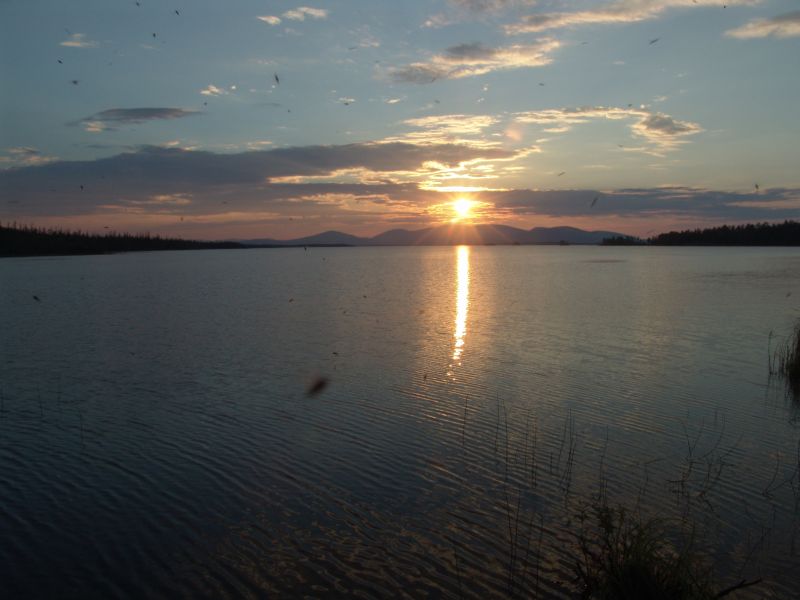 Поездка ко мне в деревню летом 2005 года 48