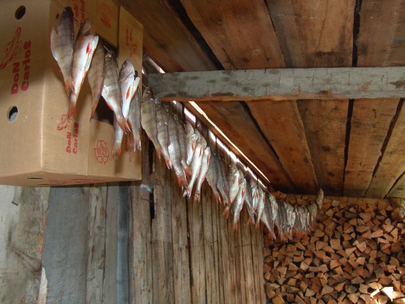 Поездка ко мне в деревню летом 2005 года 59