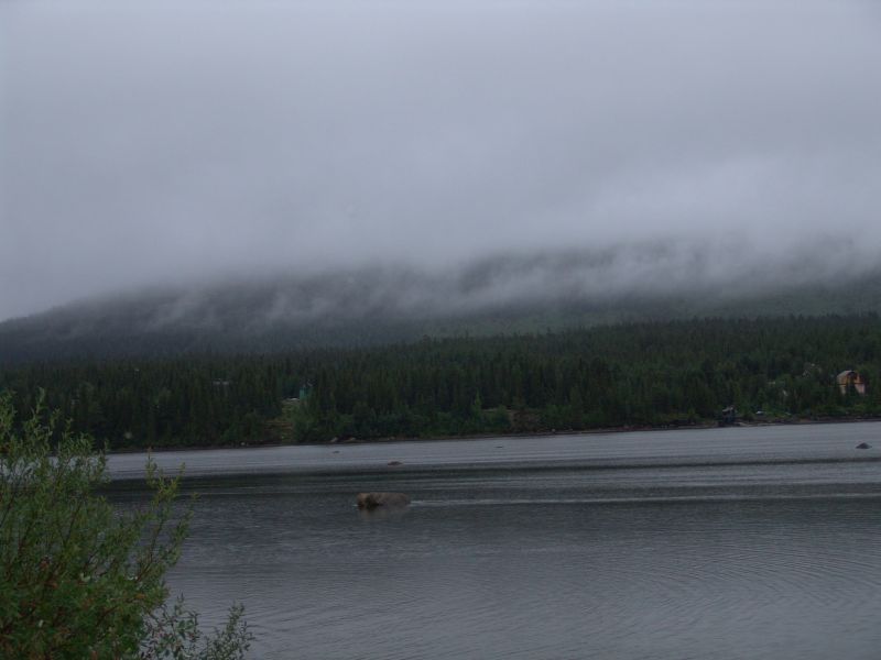 Поездка ко мне в деревню летом 2005 года 61