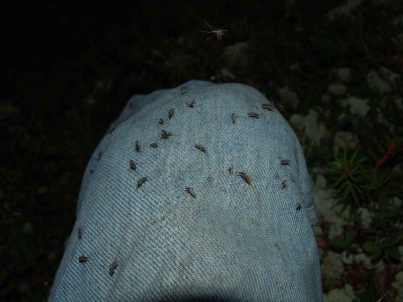 Поездка ко мне в деревню летом 2005 года 96