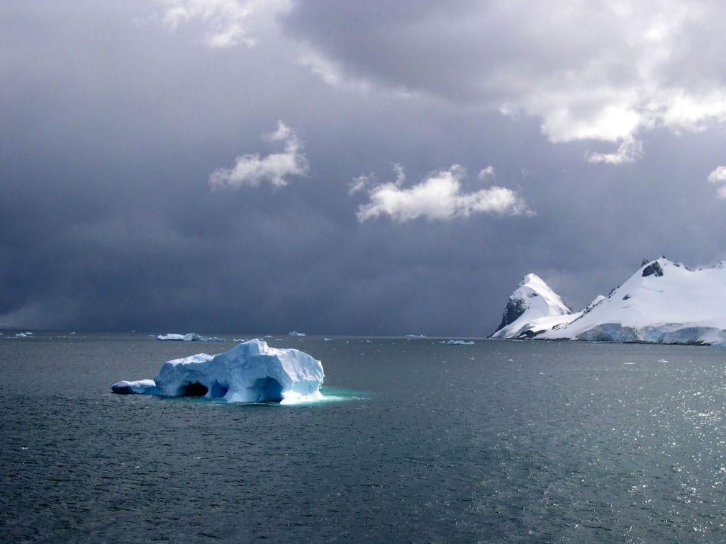 Антарктические виды 4