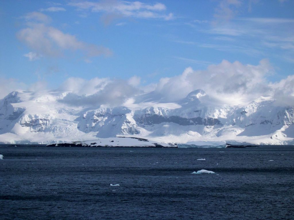 Антарктические виды 5