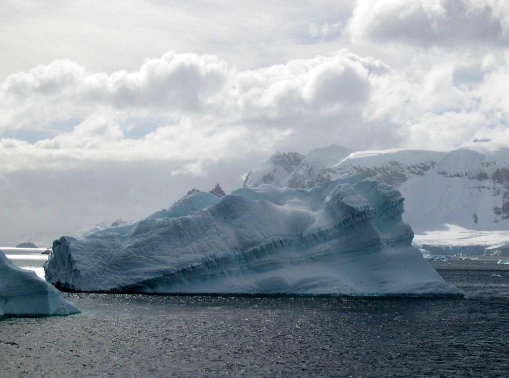 Антарктические виды 6