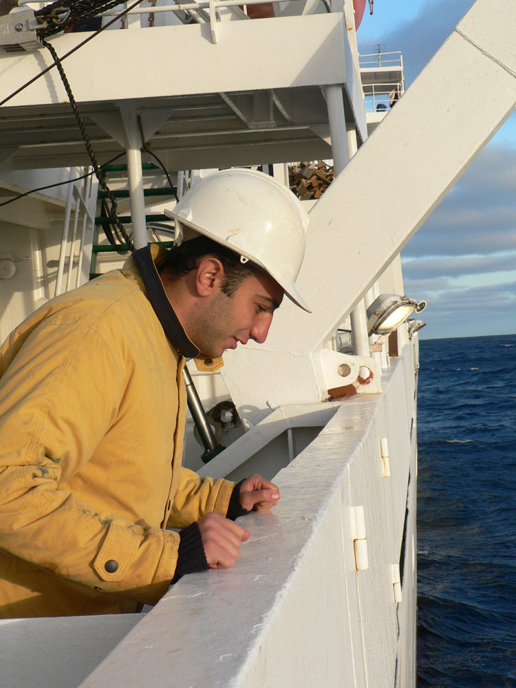 Давид следит за розеттой