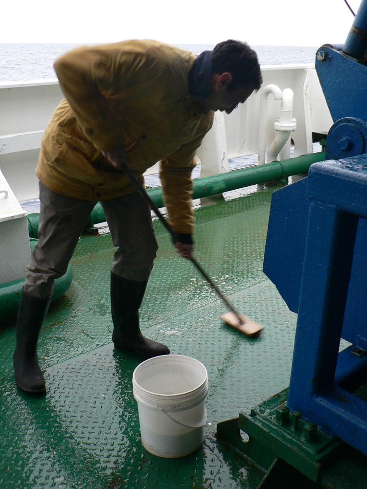 Давид пытается оттереть от масла палубу