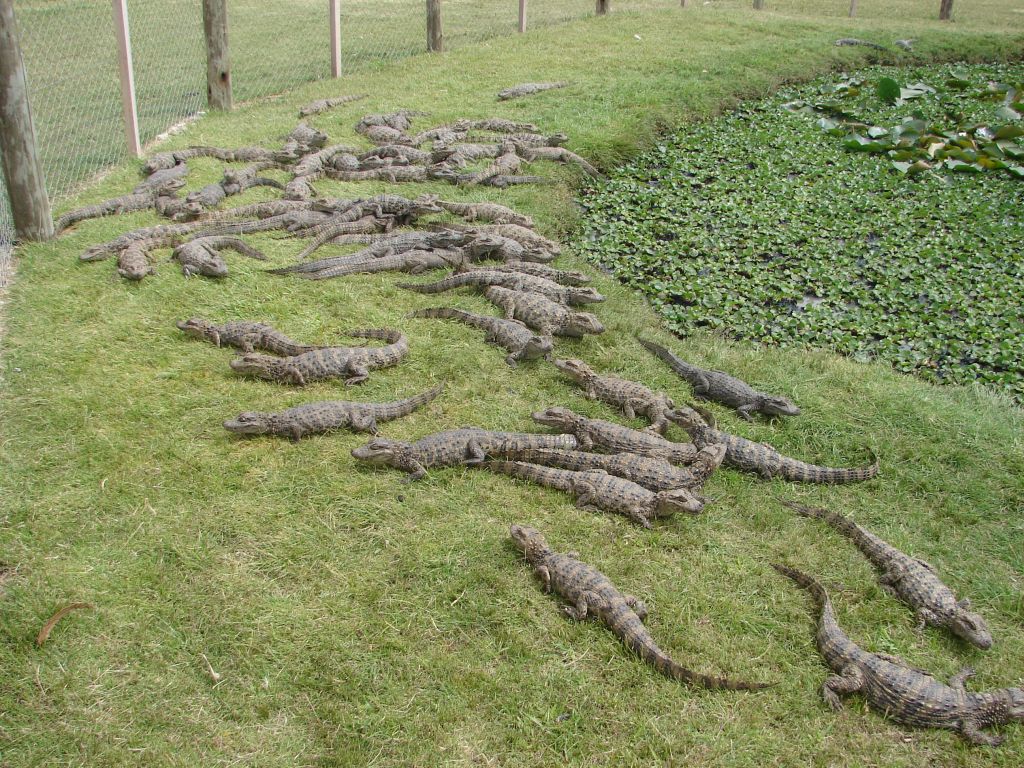 Осень 2006 - НИС "Академик Иоффе" 27