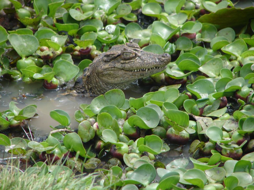 Осень 2006 - НИС "Академик Иоффе" 29
