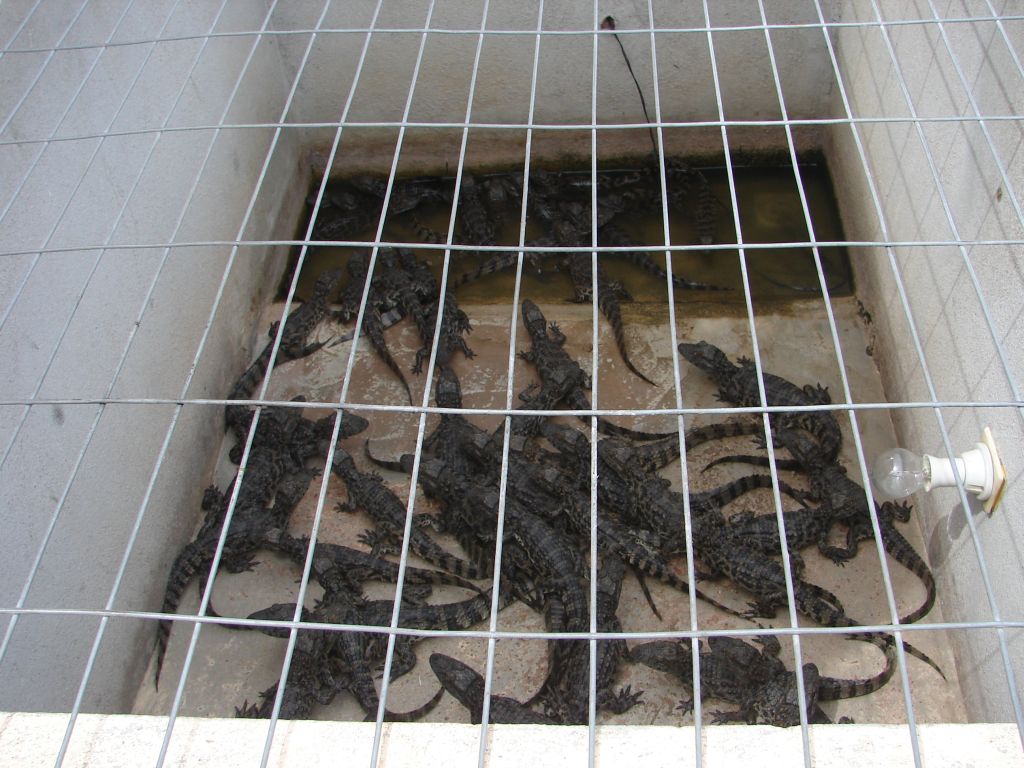 Осень 2006 - НИС "Академик Иоффе" 30