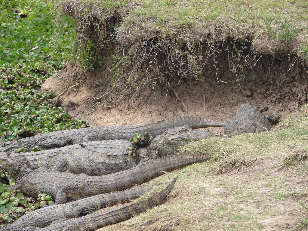 Осень 2006 - НИС "Академик Иоффе" 31