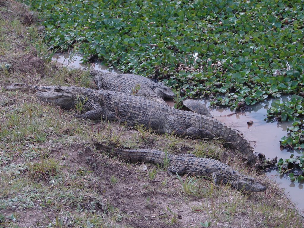 Осень 2006 - НИС "Академик Иоффе" 32