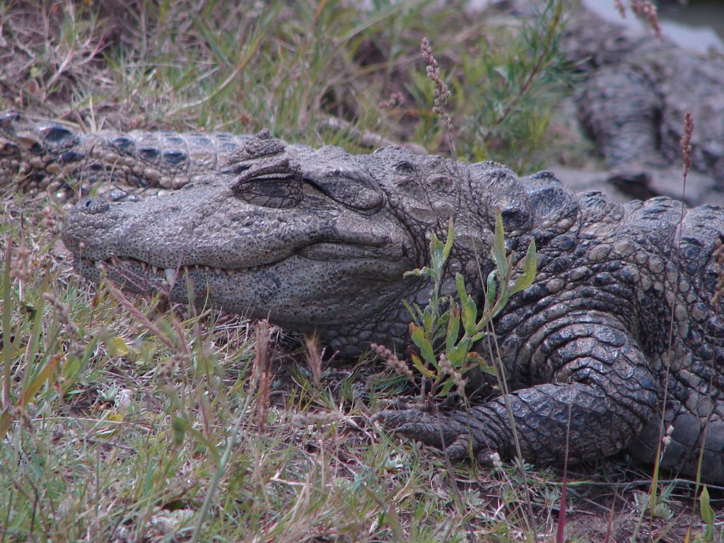 Осень 2006 - НИС "Академик Иоффе" 33