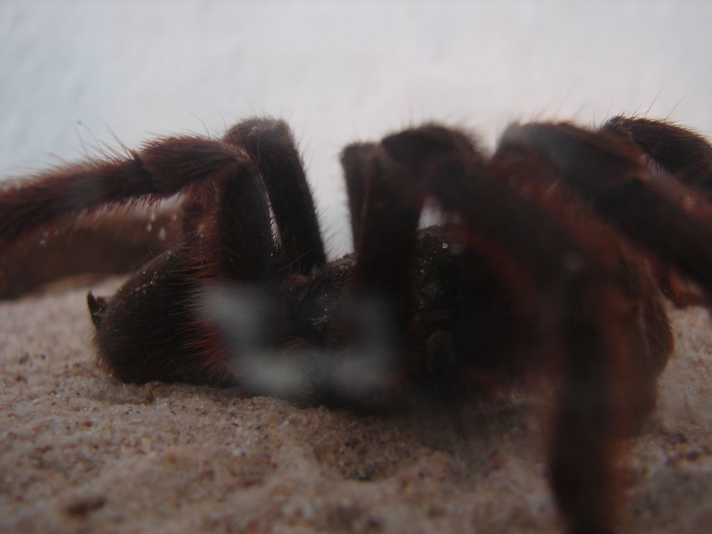 Осень 2006 - НИС "Академик Иоффе" 35