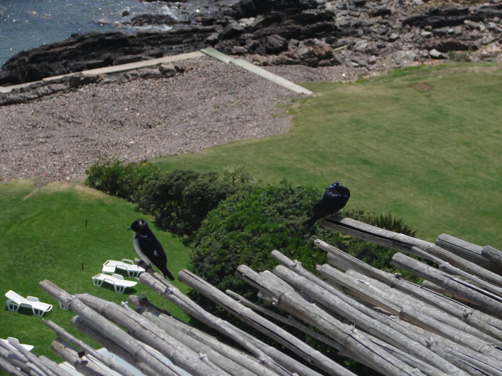 Осень 2006 - НИС "Академик Иоффе" 40