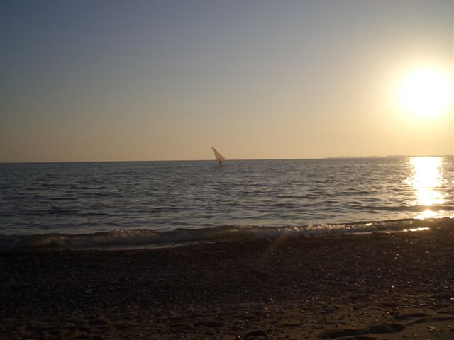 Абхазия. Сухуми. 2005-2006