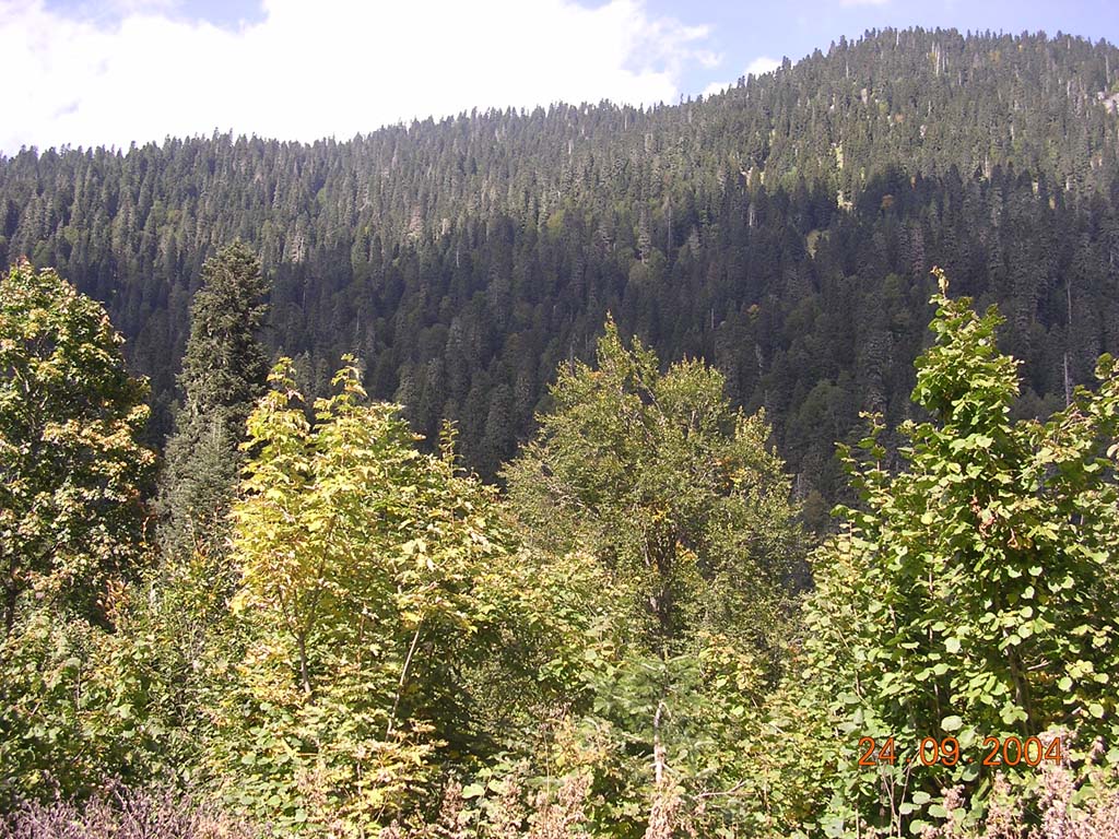 Абхазия. Горы