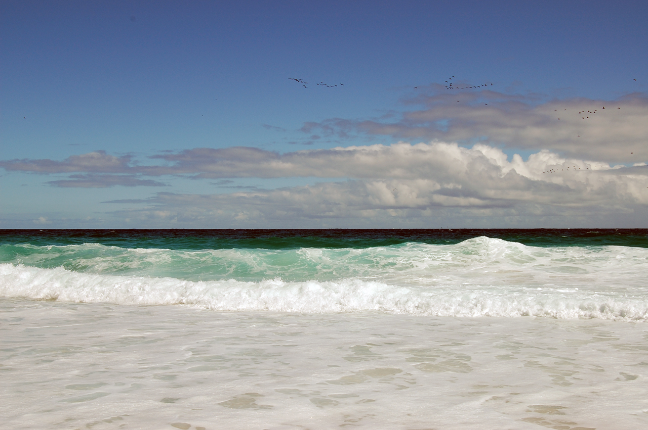 Волна на пляже Диас-Бич. Мыс Доброй Надежды