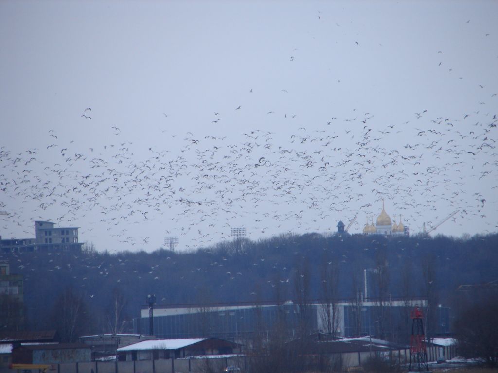 НИС "Профессор Штокман" март 2006-го 30