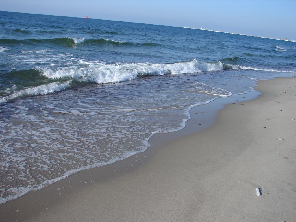 НИС "Профессор Штокман" март 2006-го 36