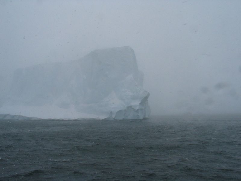 Экспедиция осени 2003 года на НИС "Академик Сергей Вавил