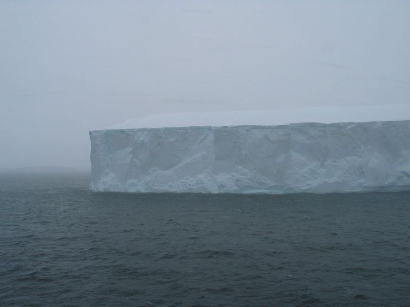 Экспедиция осени 2003 года на НИС "Академик Сергей Вавил