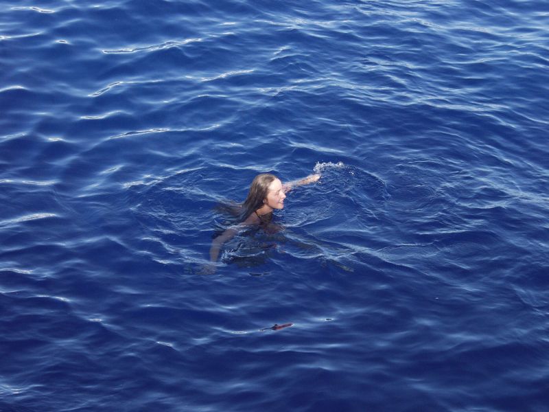 Экспедиция осени 2003 года на НИС "Академик Сергей Вавил