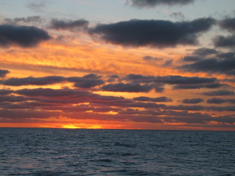 Экспедиция осени 2003 года на НИС "Академик Сергей Вавил