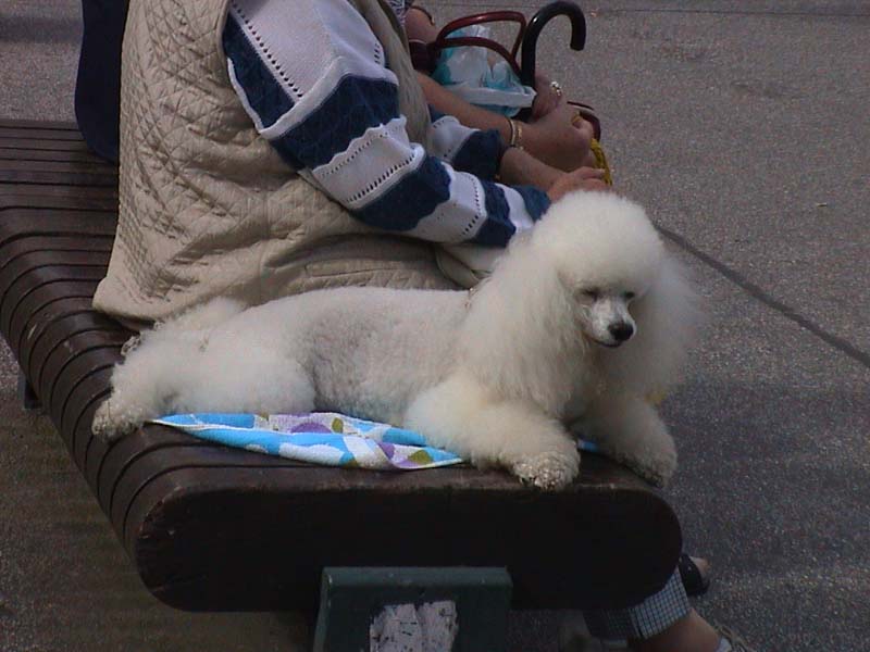 Экспедиция осени 2002 года на НИС "Академик Мстислав Кел