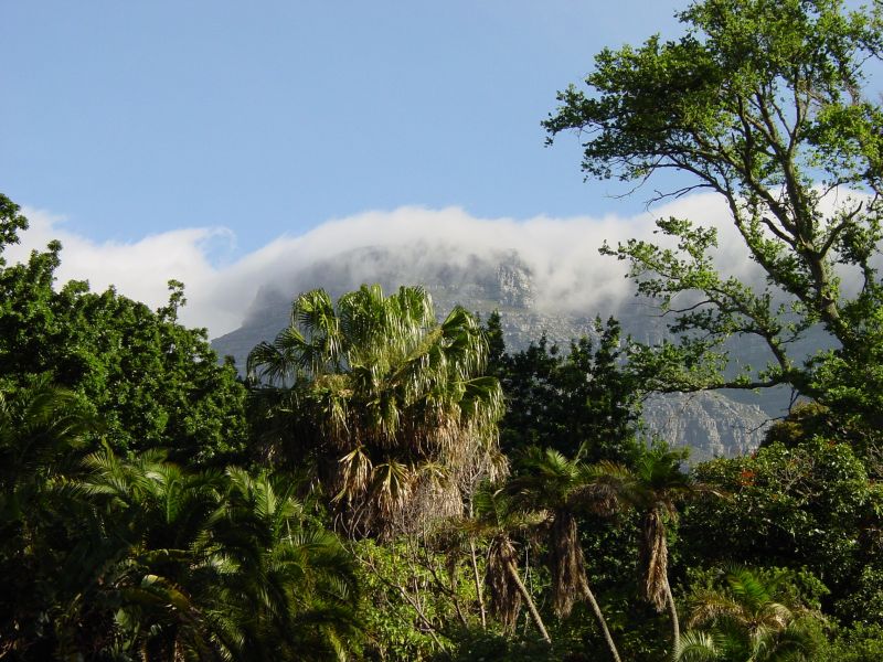 Экспедиция осени 2004 года на НИС "Академик Сергей Вавил