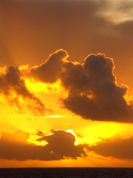 Экспедиция осени 2004 года на НИС "Академик Сергей Вавил