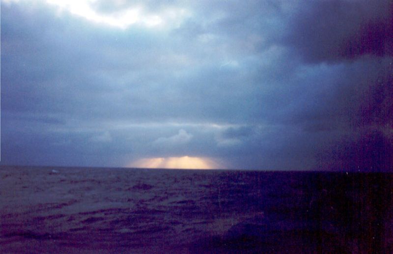 Экспедиция весны 2001 года на НИС "Академик Иоффе" 24